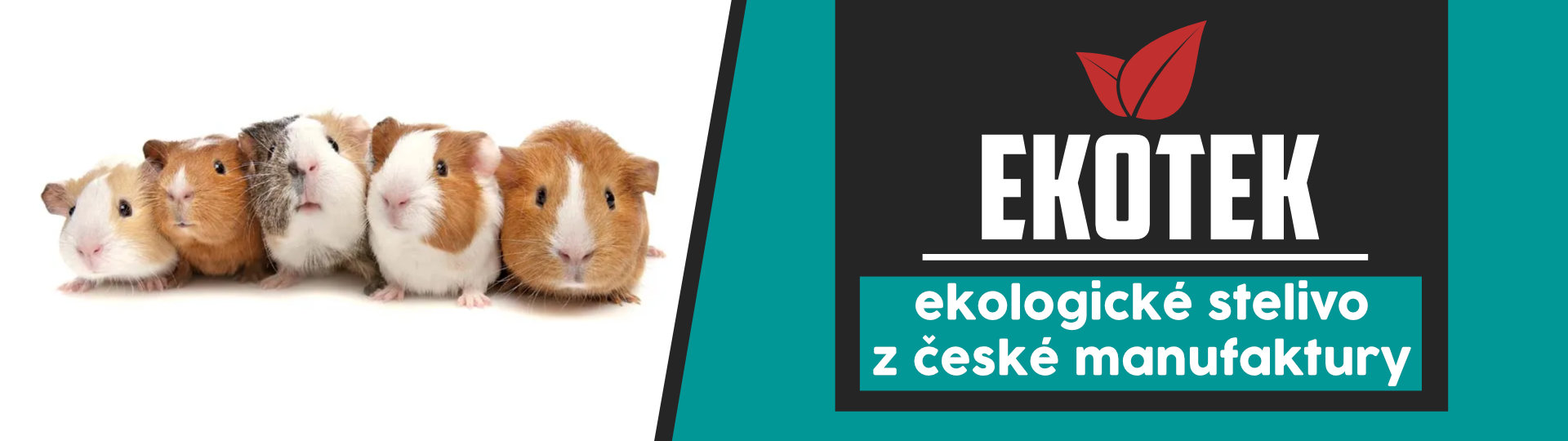 1910x540 ekotek banner blog 5